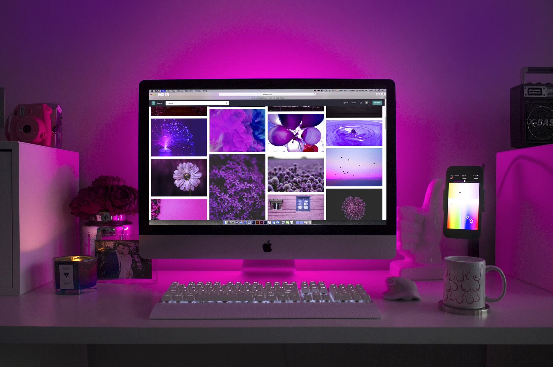 Web Designing & Development